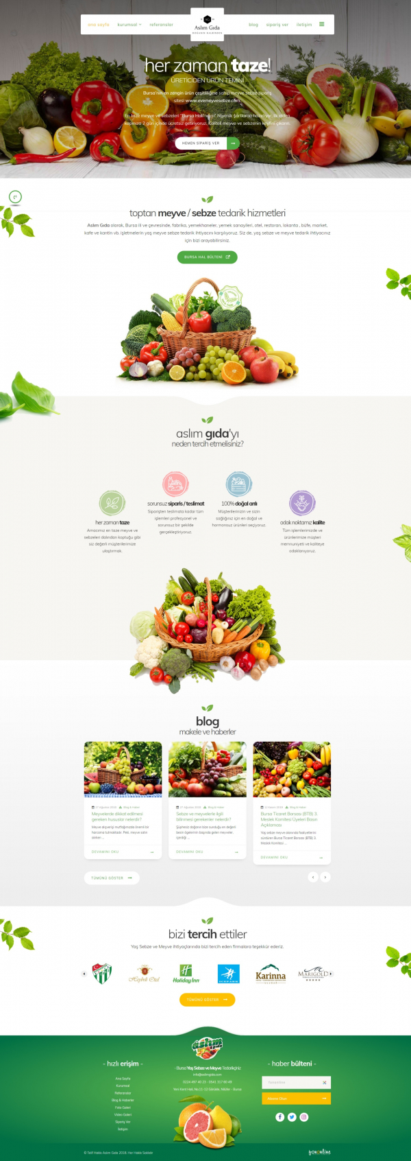 Kurumsal Site meyvesebzetedarikcisi.com Web Site Tasarımı & Yazılımı