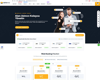 Datawise - Wisecp Tema